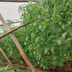Climate-Smart Farming Training Session